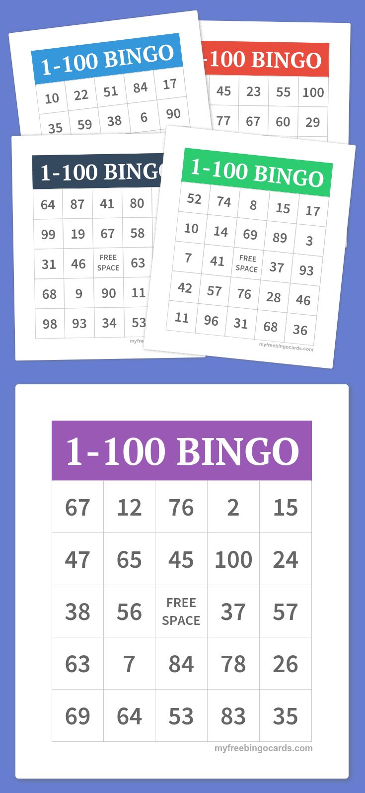Bingo Cards And Chips